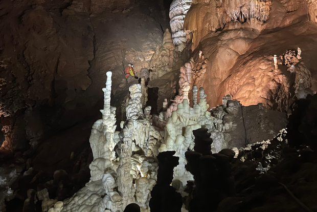 Montpellier: Halvdagstur till vinkällaren Terrasses du Larzac