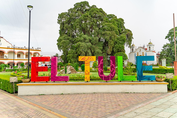 Oaxaca: El Tule, Pueblo de Teotitlán y Tour del Mezcal
