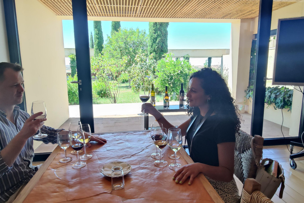 Évora: Tour della fabbrica di sughero e degustazione di vini (Da Lisbona)