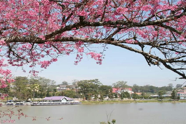 Från Nha Trang: Da Lat City Tour på en hel dag