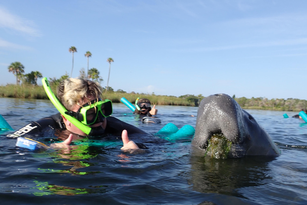 Crystal River: Nado VIP con Manatíes y Fotógrafo en el Agua