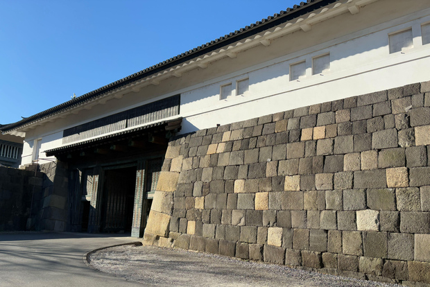 Tokyo: Palazzo Imperiale con il tour Nostalgic Alley Kagurazaka