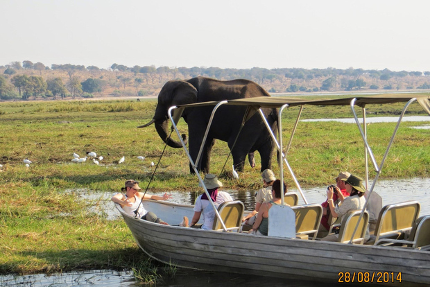 Excursión a Chobe desde las cataratas Victoria, Zimbabue