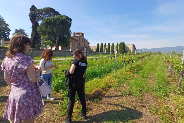 Milán: tour por el lago Iseo y la bodega Franciacorta y cata de vinos