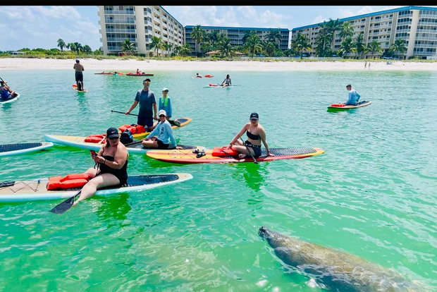 Marco Island: Guided Manatee-Watching Kayaking or SUP Tour