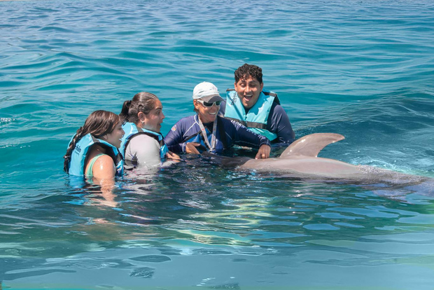 Puerto Aventuras: Interacción con delfines y manatíes con almuerzo