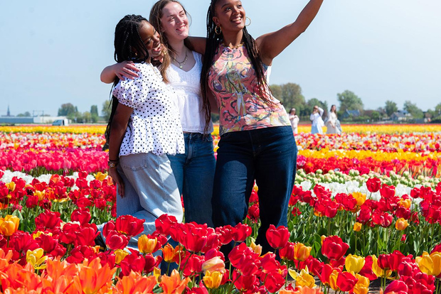 Lisse : billet pour l'expérience des tulipes avec jardin et musée