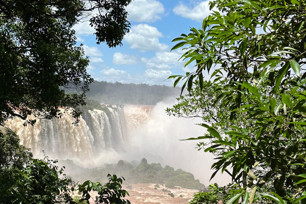 from Foz do Iguaçu: Private Tour on Iguaçu Falls