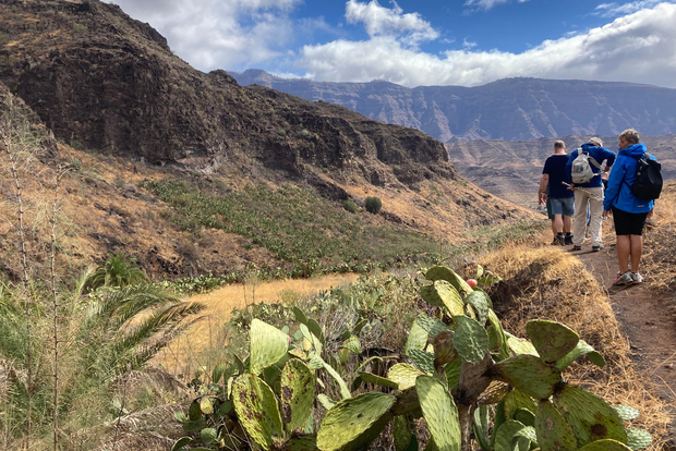 Gran Canaria: escursione alla Valle di Veneguera
