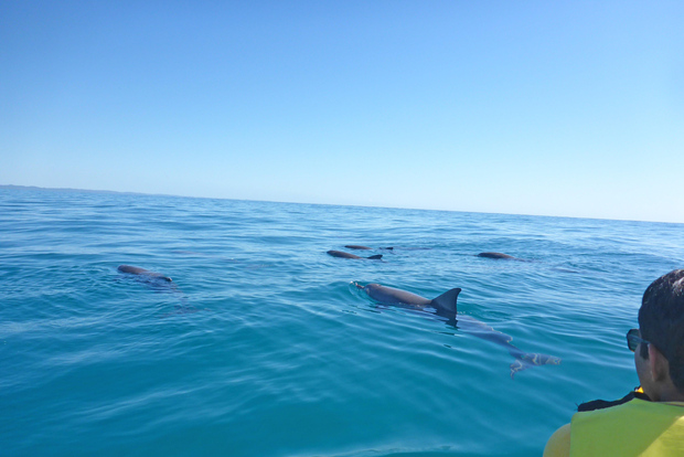 Noosa: Aventura privada en la playa de Double Island Point