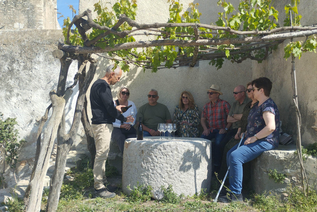 Von Sitges: Weinprobe in 2 Weingütern mit Hotelabholung