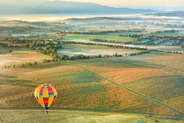 Yarra Valley: Hot Air Balloon Flight & Buffet Breakfast