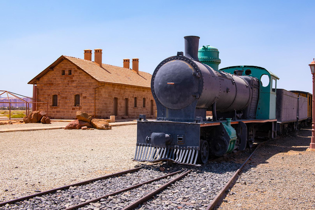 Medina: tour di un giorno a Badr con pranzo e prelievo in hotel