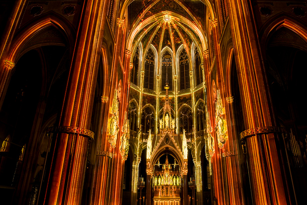 Vienna: Light of Creation Votivkirche Spettacolo di luci immersivo