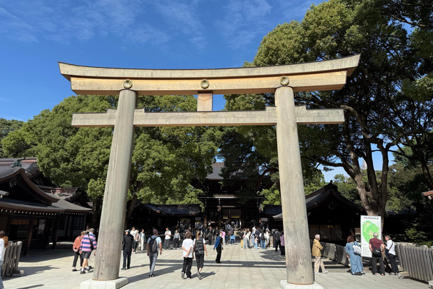 Tokyo: Harajuku Dal Santuario Meiji all'incrocio di Shibuya